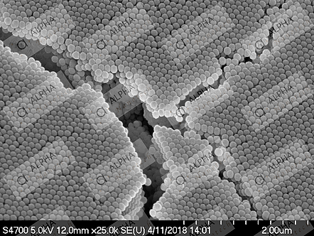 Silica Nanoparticles: What You Should Expect?