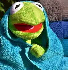 Me, comforting my friend, Kermit.