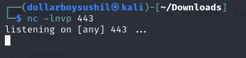 netcat