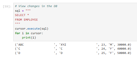 Python: Delete query (image by author)
