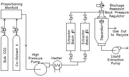 Extraction of Bioactive Compounds from Supercritical Carbon Dioxide | by Thar Process | Medium