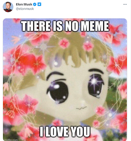 CoinW首发多个meme币暴涨背后