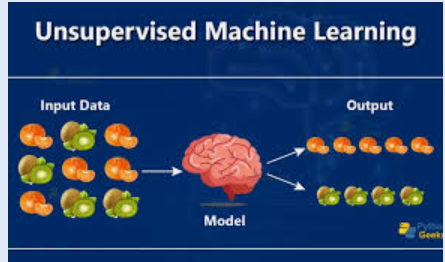 Unsupervised Learning Algorithms in Machine Learning with Python | by ...
