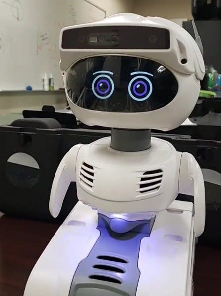 What Is a Social Robot?