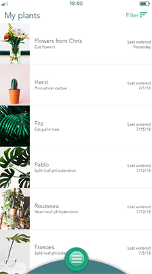 Saving my plants with a plant watering app  a UX case study | by Kaleigh  Flynn | UX Collective