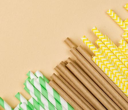 paper straw business plan