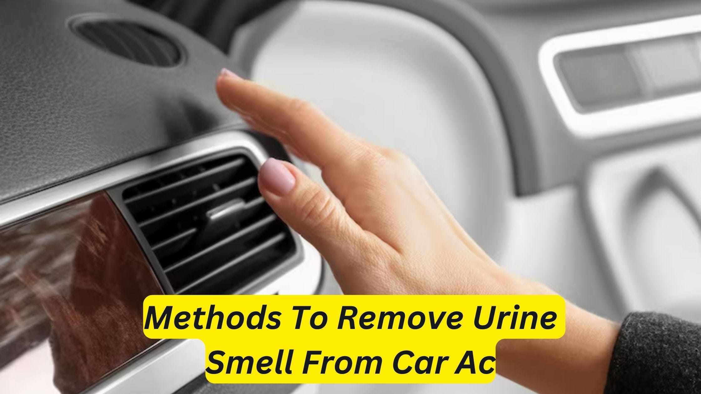 Why Does My Car Smell Like Cat Pee: Shocking Causes Revealed