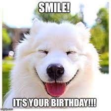 funny birthday dog meme