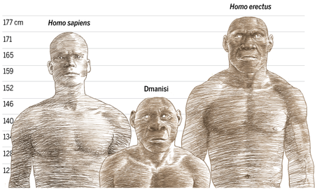 Early Homo Sapiens