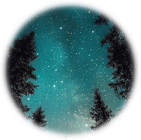 Reality… What a Concept! - Funny, Inc. - Medium