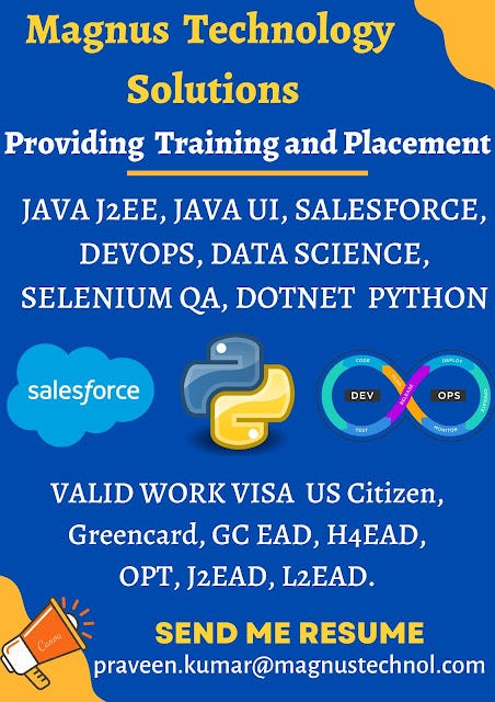 H4 EAD Training And Placement - Magnus Technology Solutions - Medium