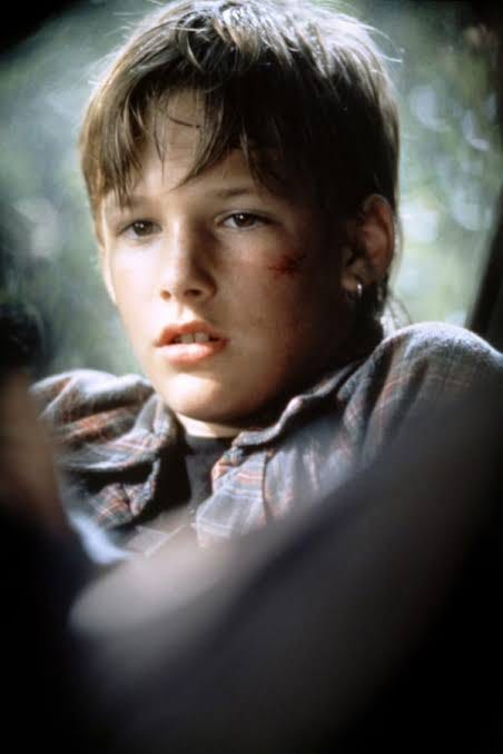 What are the causes that led to the tragic end of actor Brad Renfro? | by  Qasim Raza | Medium