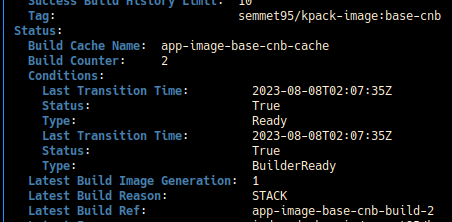Check the `status` and the `latestBuildReason` fields