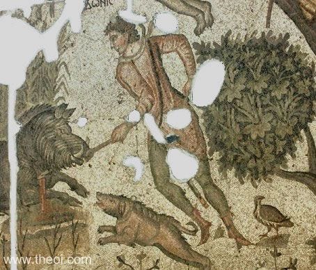 Aphrodite Myths Oprhic Hymns