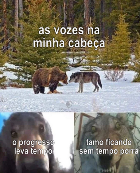 não vai dar tempo irmão
