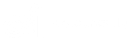 Accountfully