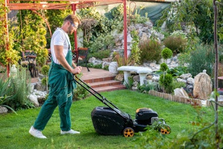 Top Lawn Services in Wayne, PA: How to Keep Your Yard Healthy All Year Round