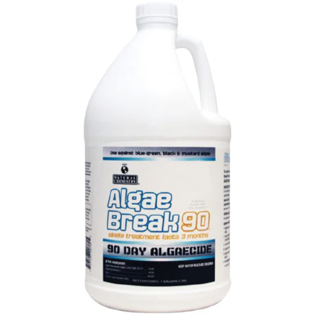 The Essential Steps to Take Before Adding Algae Remover