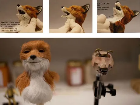 Mr Fox Model