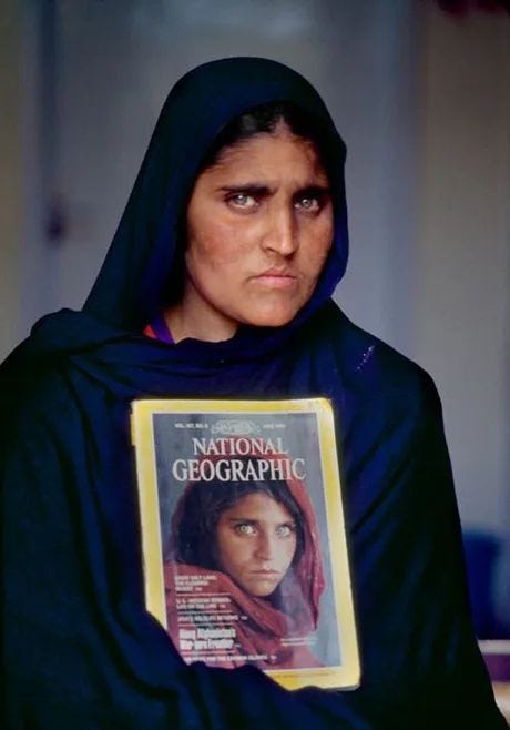 sharbat gula national geographic s the afghan girl in 2022 holding the ...