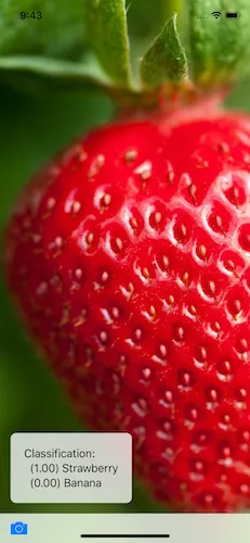 Correctly classifying a strawberry