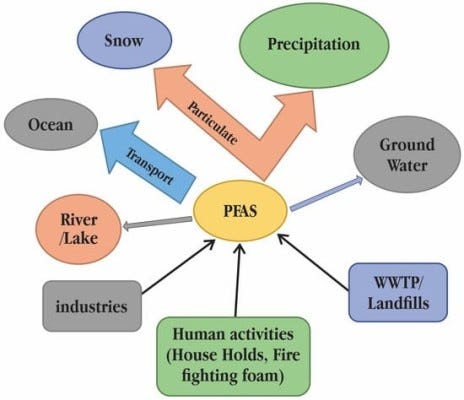 PFAS Unmasked: The Threats Beneath the Surface | by Naziashaty | Medium