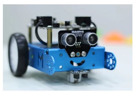 Bookings are open: kids’ gym, robotics and zoo workshops in Luxembourg🤖🐴