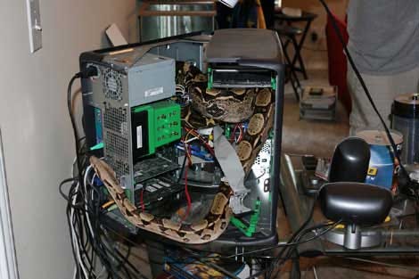 EVERYTHING’S AN OBJECT (A Guide to Types in Python3) | by Michael Klein ...