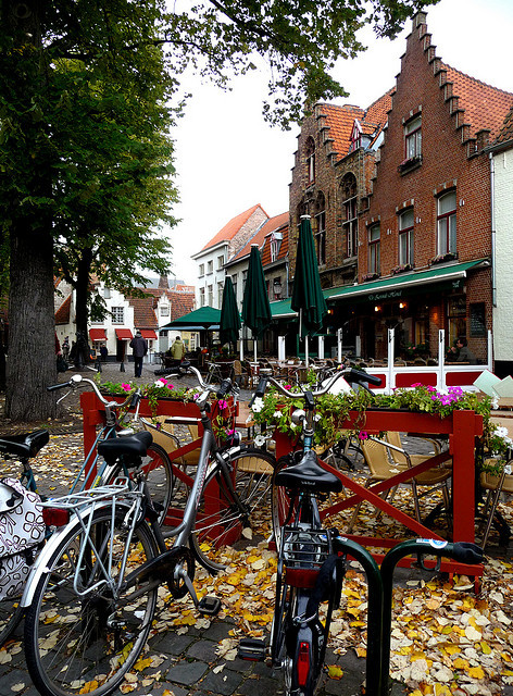 Fallen leaves in Bruges, Belgium
