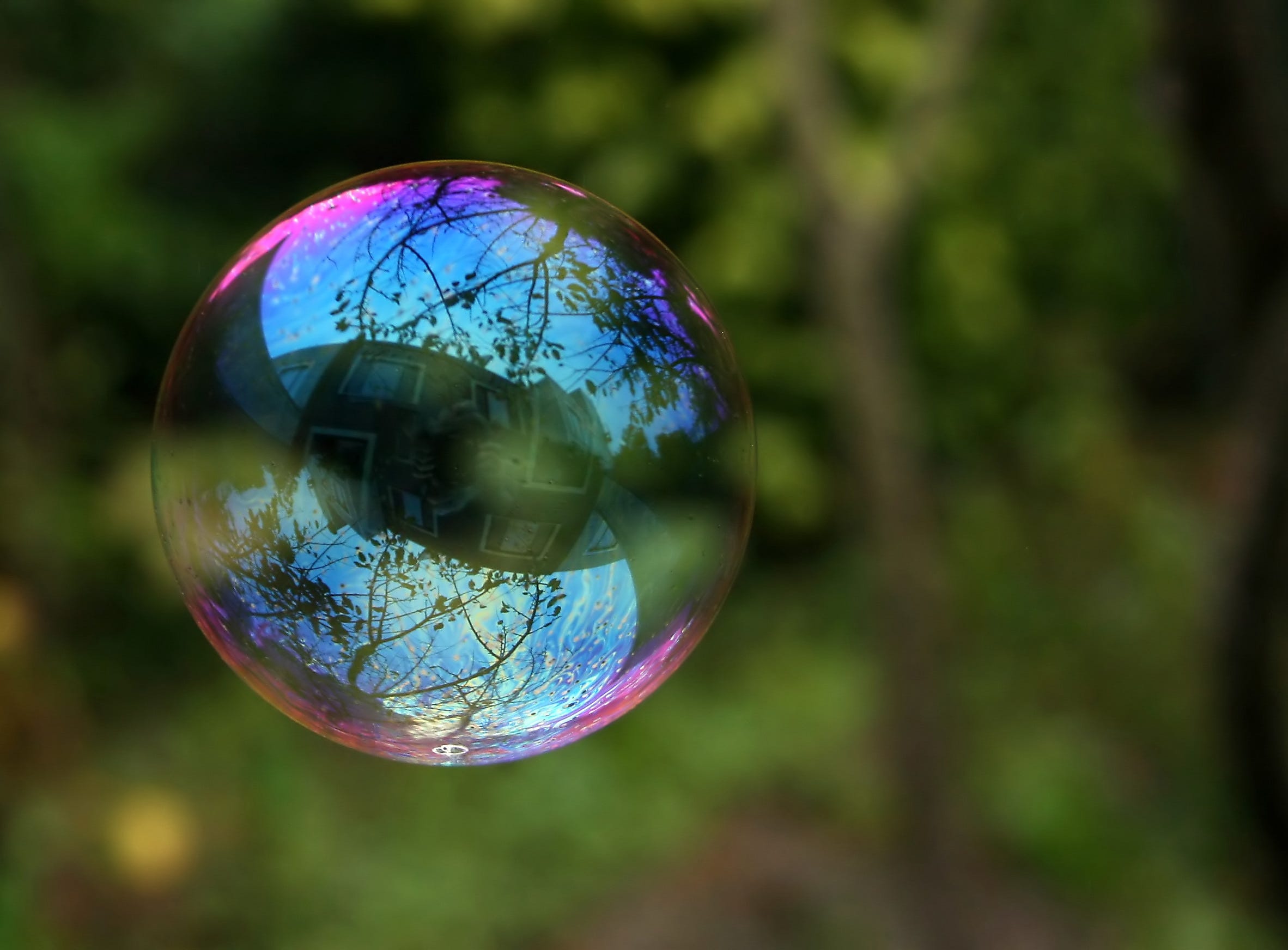 The science behind making huge soap bubbles | by Skanda Vivek | Emergent  Phenomena | Medium