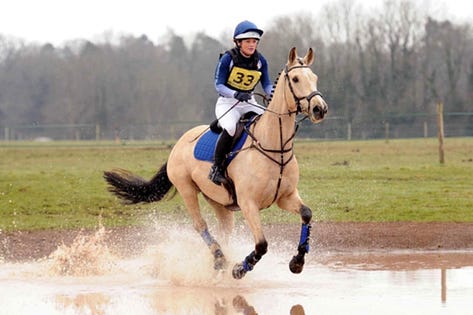 Training Tools for the Event Horse: Building a Complete Athlete
