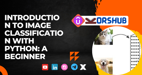 Demystifying Image Classification: Python Tips for Absolute Beginners ...