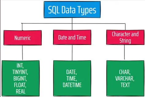 The Silent Engine of the Modern World: Mastering SQL Fundamentals ...