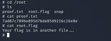 root flag