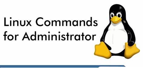 Learning DevOps [Day 6]: Linux Administrative Commands | by Lavanya R ...