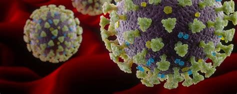 Analysis of COVID Vaccination: effectiveness & risks