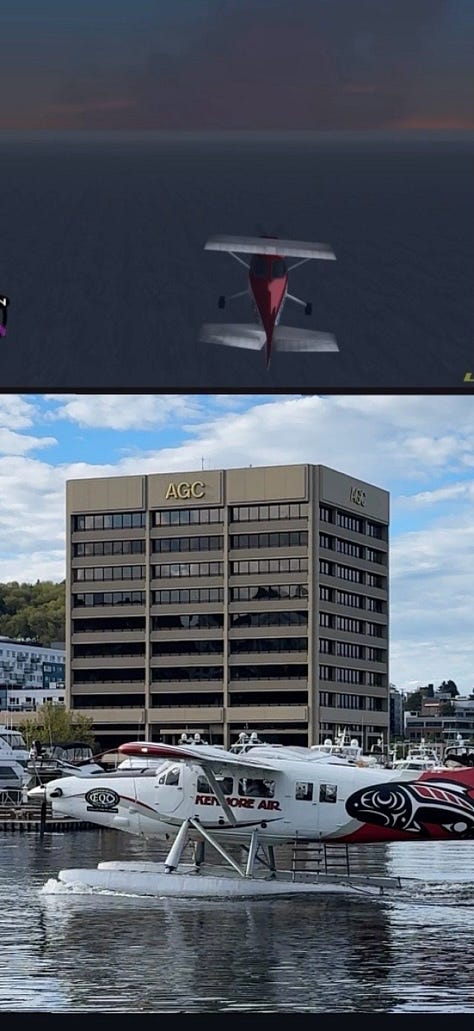 Finding the GTA Dodo in Real Life