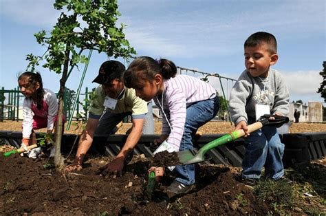 Systemic greening instigation (part 1)