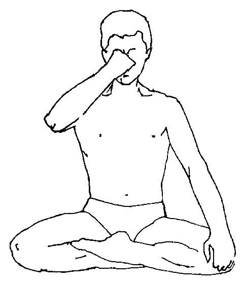 Explain the theoretical progression within the different Prāṇāyāma techniques.