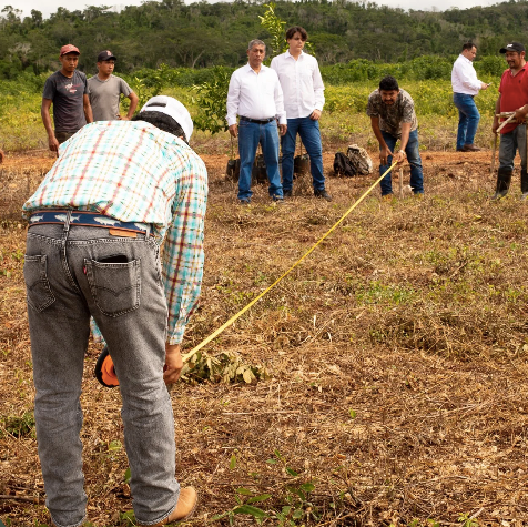 La inversión que nadie te está contando (y cómo aprovecharla con Citrus Patrimonial)