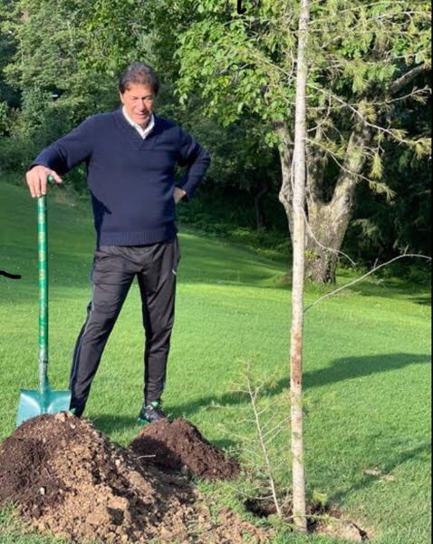 PRIME MINISTER IMRAN KHAN 10 BILLION TREES | by Muhammad Hussnain | Medium
