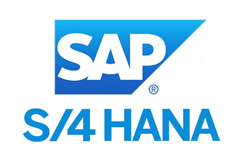 Decoding SAP HANA Pricing: A Comprehensive Overview | by Silver Touch ...