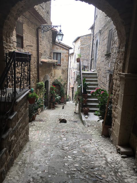 Village Life — A Summer in Italy — Part 1 | by Barbara Castleton, M.A ...