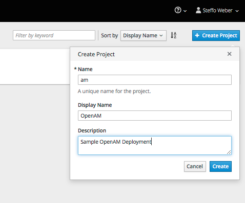 ForgeRock Access Manager on OpenShift (Part 1). | by Steffo Weber | Medium