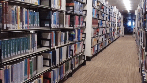 Gif de um corredor de uma biblioteca com chão de madeira, na cor bege, com estantes, na cor branca, repleta de livros.