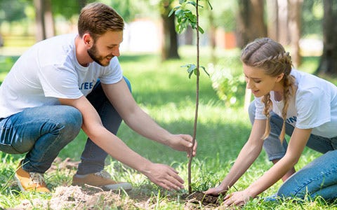 A Beginners Guide to Tree Planting