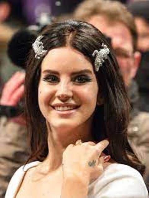Lana Del Rey: A Deep Dive into Her Enigmatic Life and Career | by ...