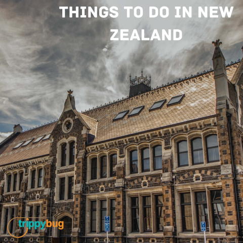 “New Zealand Adventures: Must-Do Activities for Thrill Seekers”