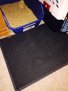 The 6 Best Cat Litter Mats of 2023