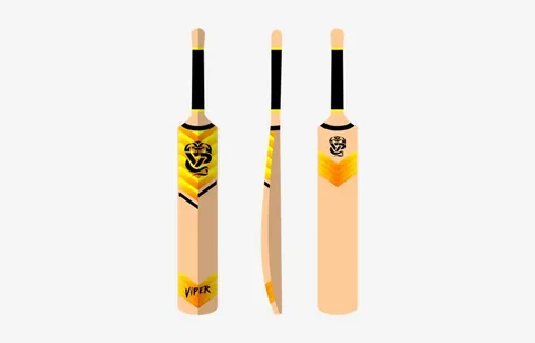 Everything You Need to Know About Cricket Bat Stickers in 2025